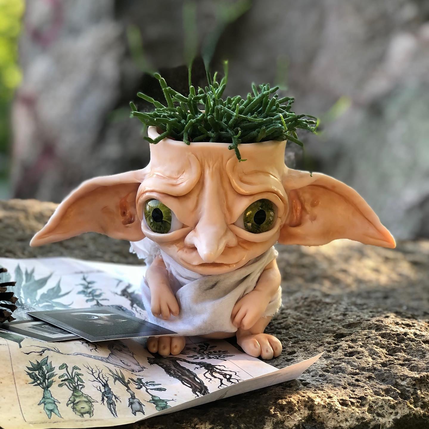 Dobby pot, pot for plants, planters