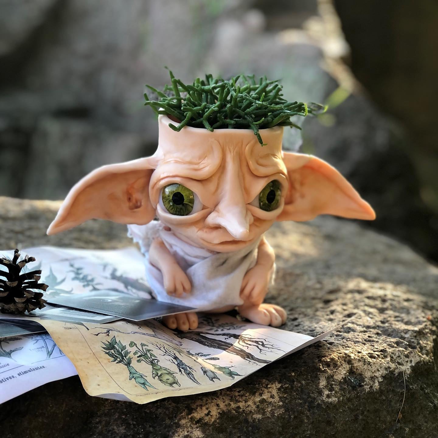 Dobby pot, pot for plants, planters