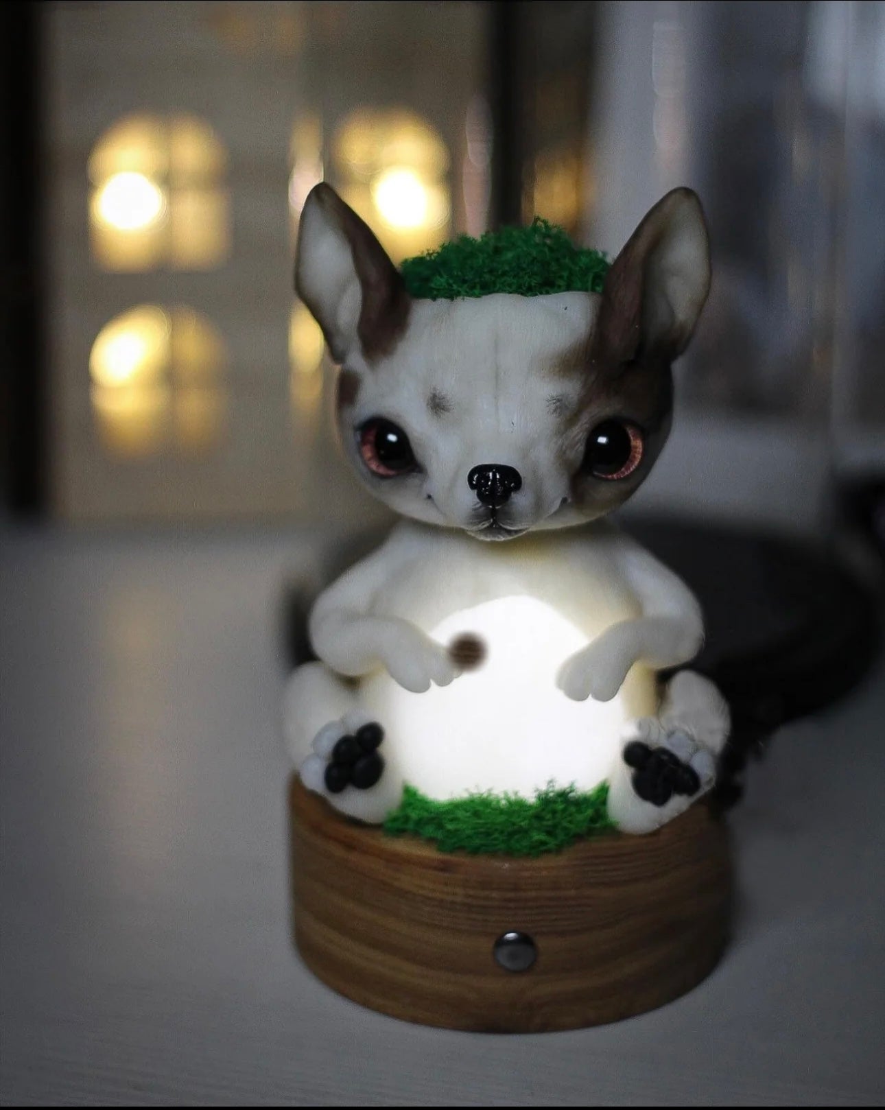 Pot for plants + nightlight in the shape of youre pets